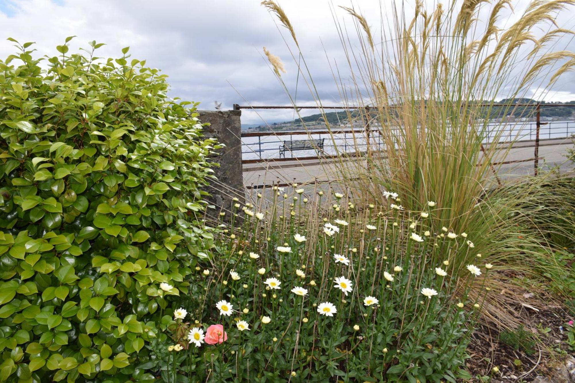 One Marine Place Port Bannatyne Exterior photo